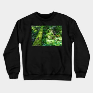 Green old forest with moss and fallen tree Crewneck Sweatshirt